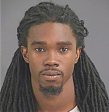 Dixon Domaneck - Charleston County, SC 