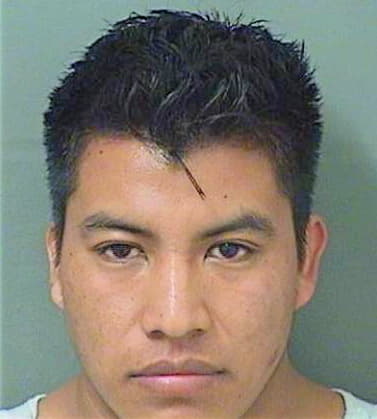 Jose Felipe - PalmBeach County, FL 