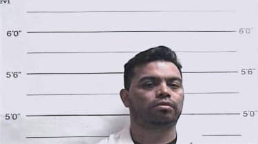 Mejia Ademir - Orleans County, LA 
