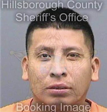 Bonillaperez Adolfo - Hillsborough County, FL 