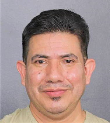 Hernandez-Leyva Luis - Broward County, FL 
