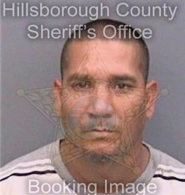 Perez Norberto - Hillsborough County, FL 