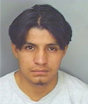 Diaz Alejandro - Polk County, FL 