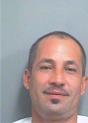 Pellot Alexis - PalmBeach County, FL 