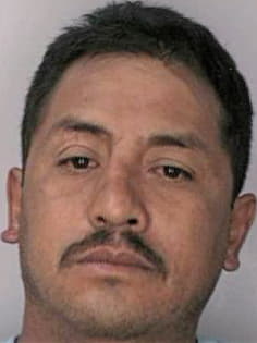 Cortes Armando - Hillsborough County, FL 