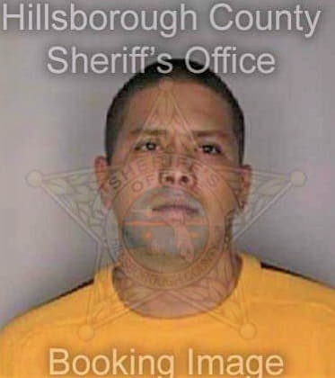 Palomares Luis - Hillsborough County, FL 