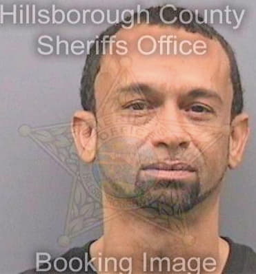 Irizarryarman Carlos - Hillsborough County, FL 
