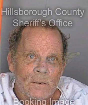 Bedal Daniel - Hillsborough County, FL 