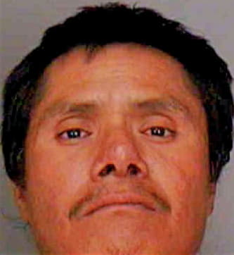 Martinez Esteban - Polk County, FL 