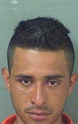 Lopezrivas Melvin - PalmBeach County, FL 
