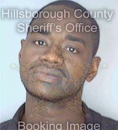 Thomas Thornell - Hillsborough County, FL 