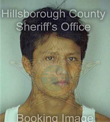 Moralesxochihua Abraham - Hillsborough County, FL 