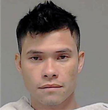 Hoang Hieu - Collin County, TX 
