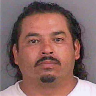 Gutierrez Julio - Collier County, FL 
