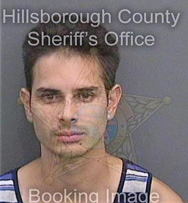 Louden Lysle - Hillsborough County, FL 