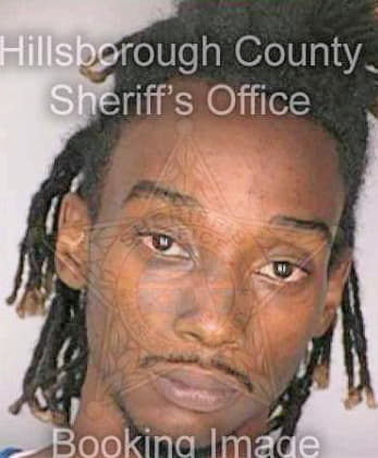 Lecount Bryan - Hillsborough County, FL 