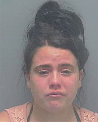 Matthews Casey - Lee County, FL 