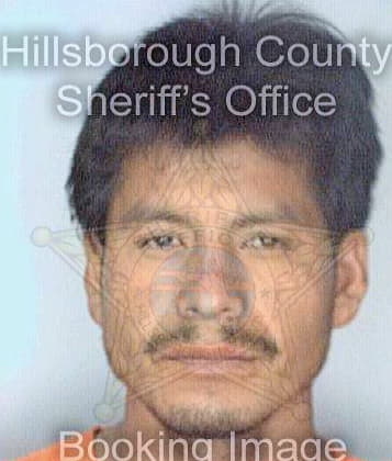 Santiago Fidencio - Hillsborough County, FL 