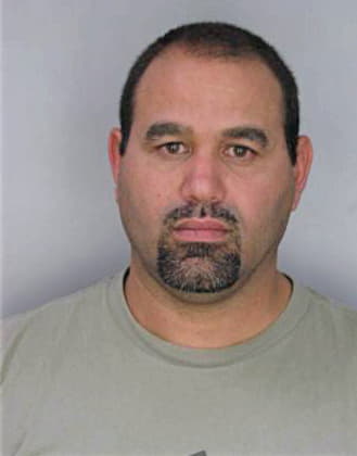 Morenoalfonso Ihosvany - Hillsborough County, FL 