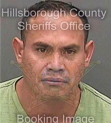 Diazbernal Carlos - Hillsborough County, FL 