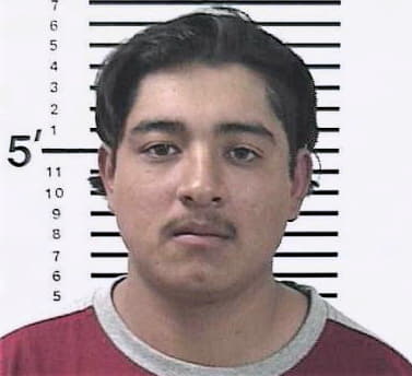 Rojo Carlos - White County, GA 