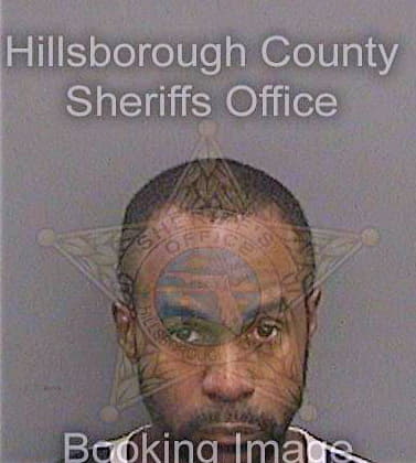 Gant David - Hillsborough County, FL 