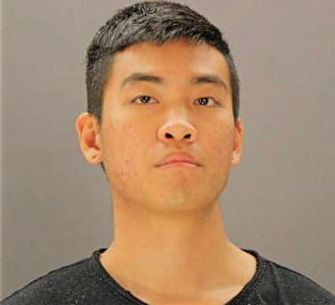 Cho Young - Dallas County, TX 