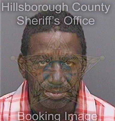 Lang Anthony - Hillsborough County, FL 