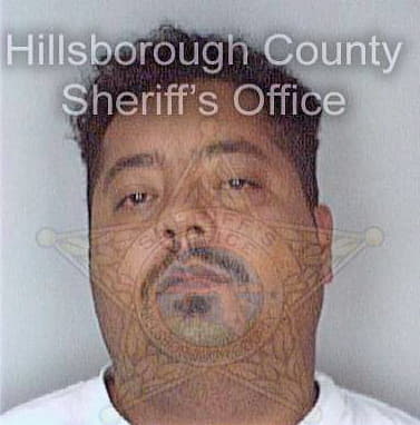 Roldan Edwardo - Hillsborough County, FL 
