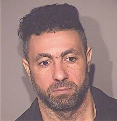 Menshawy-Bakr Haggag - Osceola County, FL 