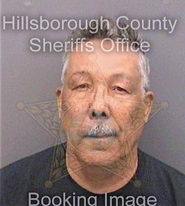 Zayasdavila Julio - Hillsborough County, FL 