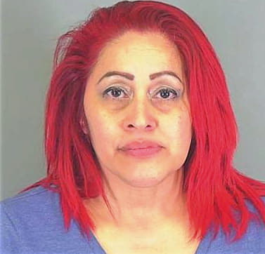 Rodriguez Linda - Spartanburg County, SC 