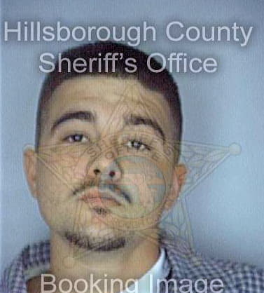 Stearns Michael - Hillsborough County, FL 
