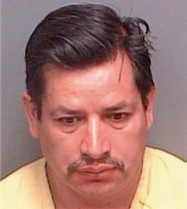 Gonzalez Alfredo - Pinellas County, FL 