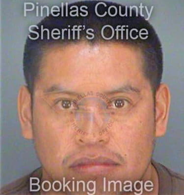Morales Hilario - Pinellas County, FL 