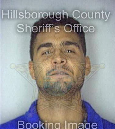Ortiz Peter - Hillsborough County, FL 