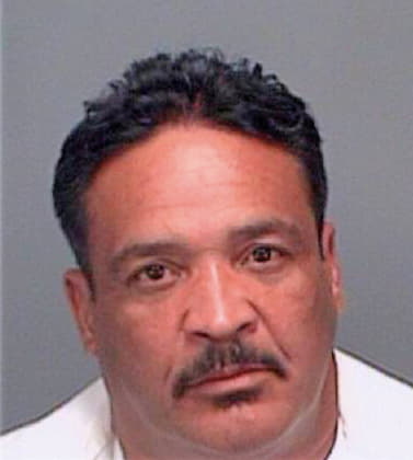 Perez Anibal - Pinellas County, FL 