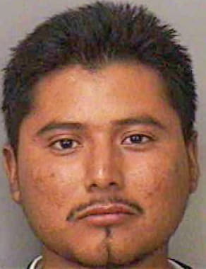 Gonzalez Candido - Polk County, FL 