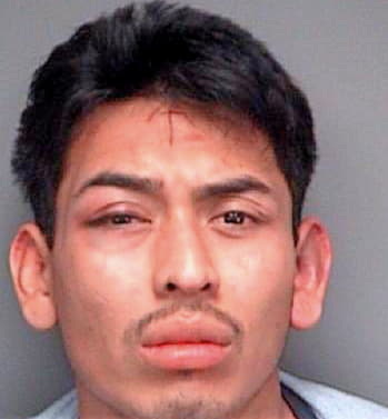 Lopezreyes Jose - Pinellas County, FL 