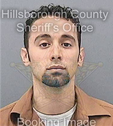 Casals Michael - Hillsborough County, FL 