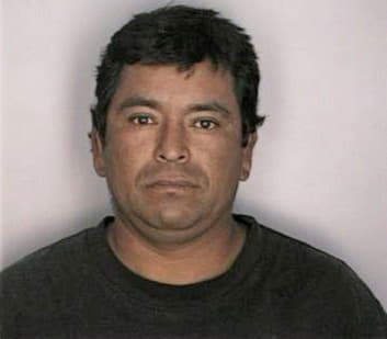 Lopez Nicholas - Hillsborough County, FL 