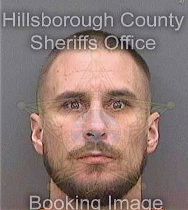 Mchenry Curtis - Hillsborough County, FL 