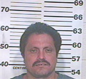 Garcia Gerardo - Hidalgo County, TX 