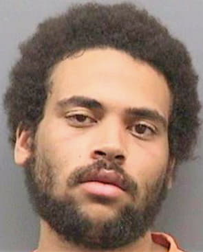 Fews Ian - Hillsborough County, FL 