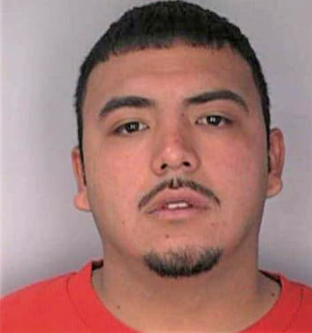 Mendez Jose - Hillsborough County, FL 