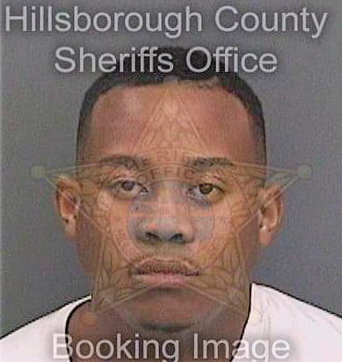 Sampson Ledarius - Hillsborough County, FL 