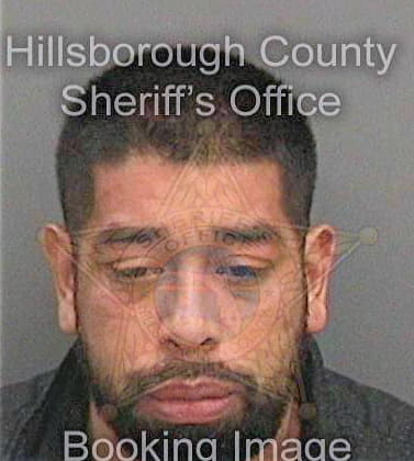 Reyesleal Mario - Hillsborough County, FL 