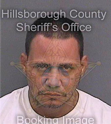 Garciaoquendo Norberto - Hillsborough County, FL 