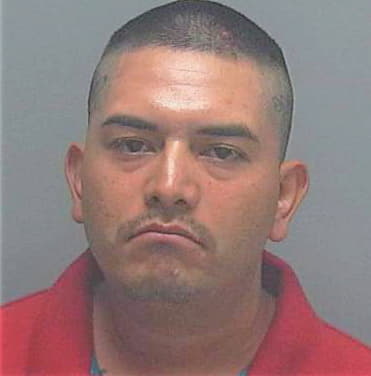Alvarado-Donato Sergio - Lee County, FL 