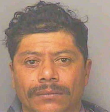 Alvarado-Ramirez Timoteo - Polk County, FL 